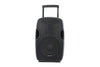 Gemini AS-12TOGO Portable PA speaker system (12" Active battery-powered loudspeaker | 1500W Peak Power | Bluetooth | Wired microphone)