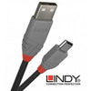 Lindy 1m USB2 A Ext Cable AL