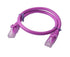 8Ware Cat6a UTP Ethernet Cable 0.5m (50cm) Snagless Purple - Connected Technologies