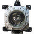 REPLACEMENT LAMP UNIT FOR PT-D Z21/DS20/DW17K