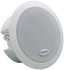 Multicast Ceiling Speaker - Connected Technologies