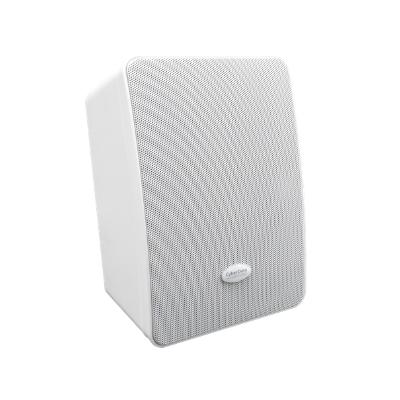 Multicast Wall Mount Speaker - Connected Technologies