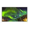 NEC 65" C651Q LED 4K UHD Commercial-Grade/ 24/7 Usage/ 16:9/ 3840 x 2160/ 60 Hz/ HDMI, DisplayPort/ Speakers/OPS Expandable
