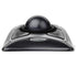 TRACKBALL-EXPERT MOUSE